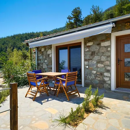 Dom wakacyjny Azure *